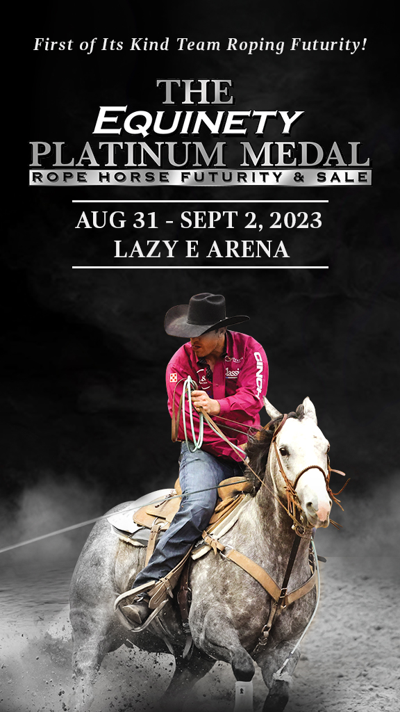 2024 cinch timed event championship tickets on sale